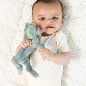 Pacifier Buddy by Bella Tunno